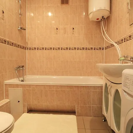 Apartment Poznyaky-bazhana